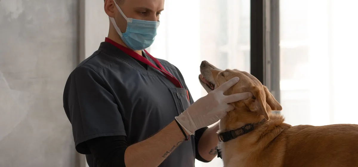 Veterinář s pejskem v ambulanci