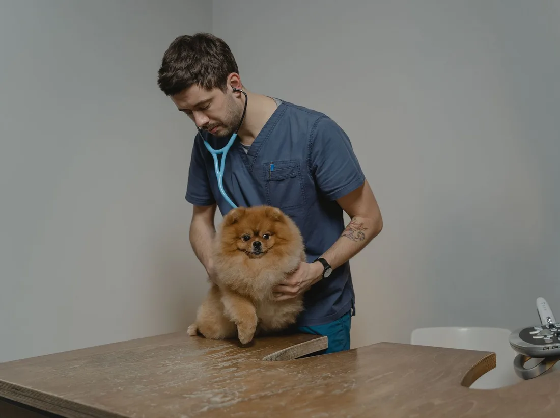 Veterinář s malým pejskem v ambulanci