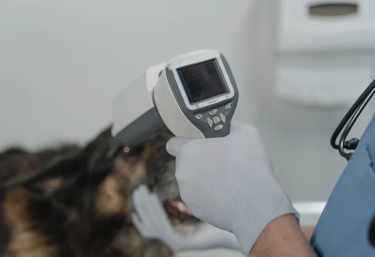 Diagnostické přístroje veterinární ambulance